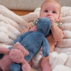 Toy | Plushie Pals | Koala Toy | Plushie Pals | Koala